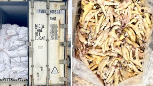 Xuất khống 1.400 tấn chân gà đông lạnh, Hải quan khởi tố vụ án trốn thuế 7 tỷ đồng