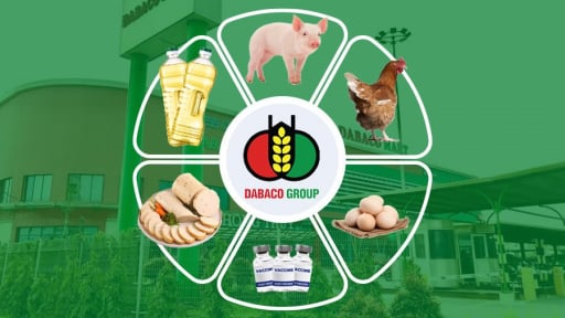 Dabaco phát hành cổ phiếu trả cổ tức 2024, tăng vốn điều lệ gần 4.000 tỷ đồng