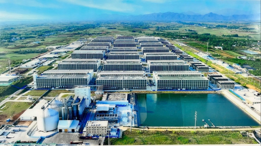 Baf Việt Nam nhận chuyển nhượng 100% vốn doanh nghiệp chăn nuôi tại Quảng Trị
