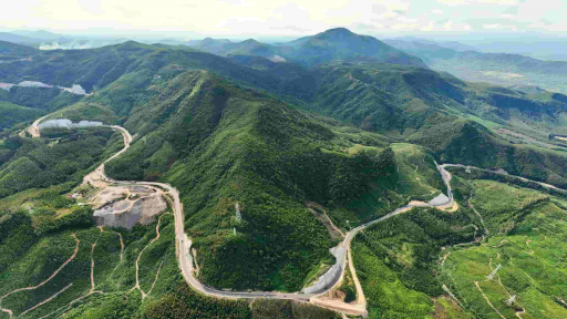 Chuyển mục đích sử dụng 5ha rừng để làm cao tốc Quy Nhơn - Pleiku