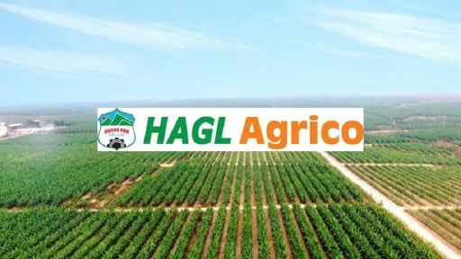Chủ tịch Trần Bá Dương sáp nhập 3 công ty con tại Lào