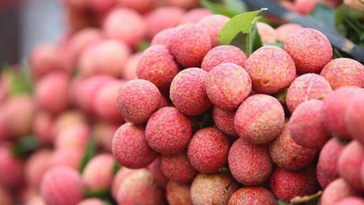 Trong 5 ngày, gần 100 tấn vải thiều xuất khẩu đến các thị trường giá trị cao