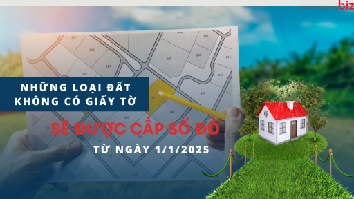 Chi tiết những loại đất không có giấy tờ sẽ được cấp sổ đỏ từ ngày 1/1/2025