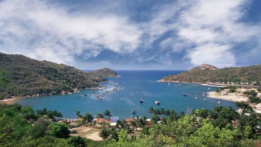 Xem xét đề xuất dừng hoạt động dự án Resort Aminia - Ninh Chữ và Sailing Bay Ninh Chữ