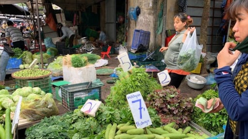 Tuyệt đối không đầu cơ, găm hàng, đẩy giá bán lên cao