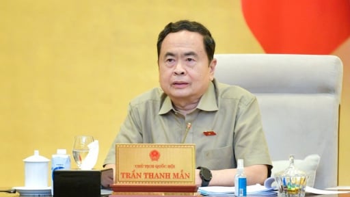 Luật Thuế thu nhập doanh nghiệp (sửa đổi): Phải khắc phục tình trạng trốn thuế, thất thu thuế