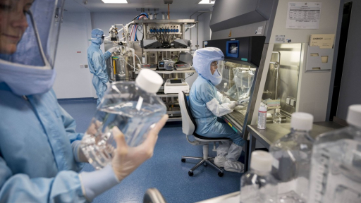 WHO cảnh báo virus Marburg đang lây lan ở nhiều quốc gia