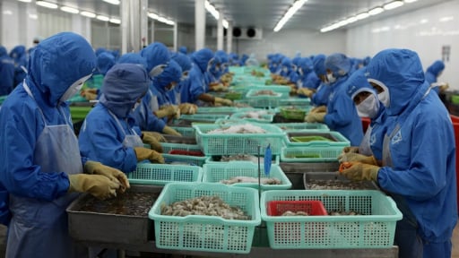 Nhiều lãnh đạo doanh nghiệp thủy sản bị tín dụng đen đe dọa