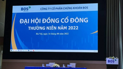 Danh tính 3 thành viên mới 'lấp chỗ trống' trong HĐQT của Chứng khoán BOS