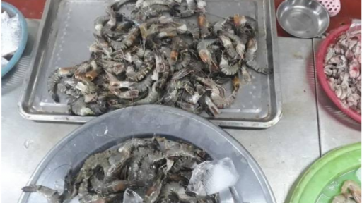 Vụ tôm chứa chất lạ tại Đà Nẵng: Phát hiện tạp chất Agar