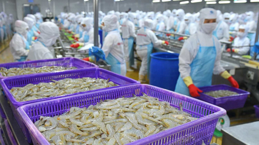 Vua tôm Minh Phú tham vọng lãi gần 1.000 tỷ đồng sau 2 năm thua lỗ, đề cử con gái vào vị trí Thành viên HĐQT