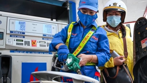 Xăng sinh học E10 là xăng gì và có an toàn sử dụng cho mọi loại xe hay không?
