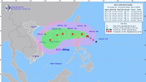 Dự báo tác động của bão YINXING 