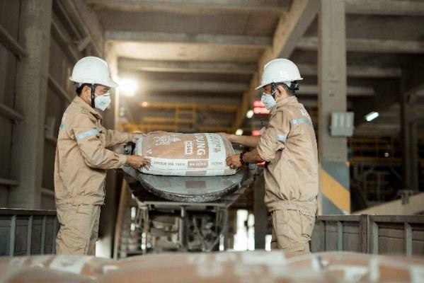 Lợi nhuận năm 2024 Vicem Hà Tiên giảm 7% sau kiểm toán