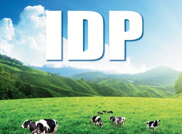 Sữa Quốc tế Lof (IDP) chi 144 tỷ đồng mua thêm 34% vốn công ty chăn nuôi bò Hồ Toản
