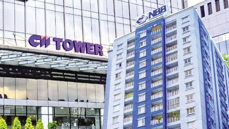 Nhóm cổ đông CII nâng sở hữu tại NBB lên gần 75%