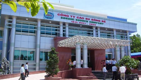Công ty Cổ phần Cao su Sông Bé bị phạt nặng do 'xào nấu' kết quả kinh doanh từ lỗ thành lãi