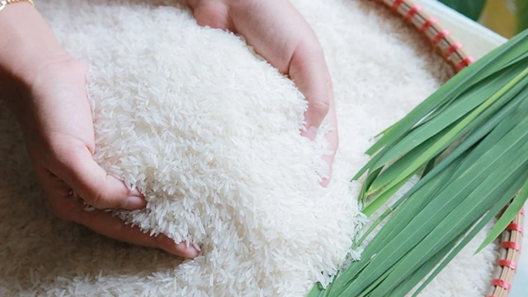 Giá gạo ngày 27/6 nhích tăng nhẹ