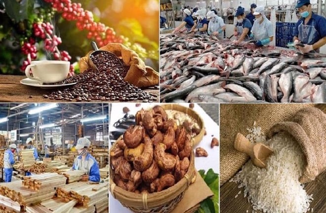 Xuất khẩu nông lâm thủy sản cán mốc 57 tỷ USD sau 6 tháng 