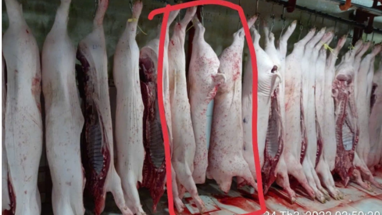 Công an kết luận Công ty C.P. Việt Nam không có dấu hiệu vi phạm về an toàn thực phẩm, không khởi tố vụ án hình sự
