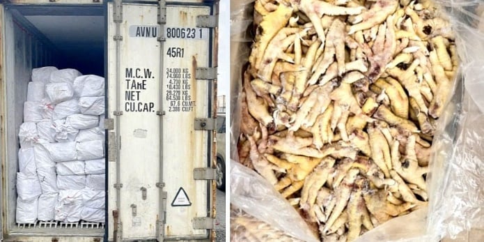 Xuất khống 1.400 tấn chân gà đông lạnh, Hải quan khởi tố vụ án trốn thuế 7 tỷ đồng