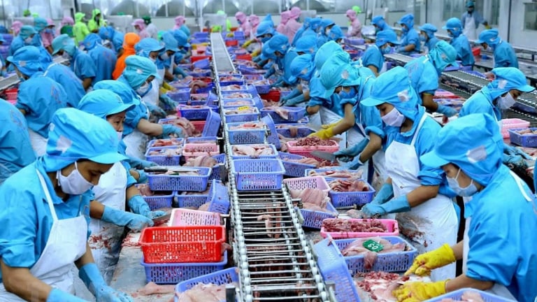 Xuất khẩu thủy sản tăng chậm lại trong tháng 6, nguy cơ suy giảm nửa cuối năm do áp lực thuế quan từ Mỹ