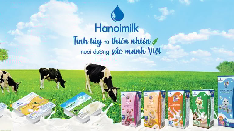  Hanoimilk doanh thu nhích tăng, nợ lãi vay về 0