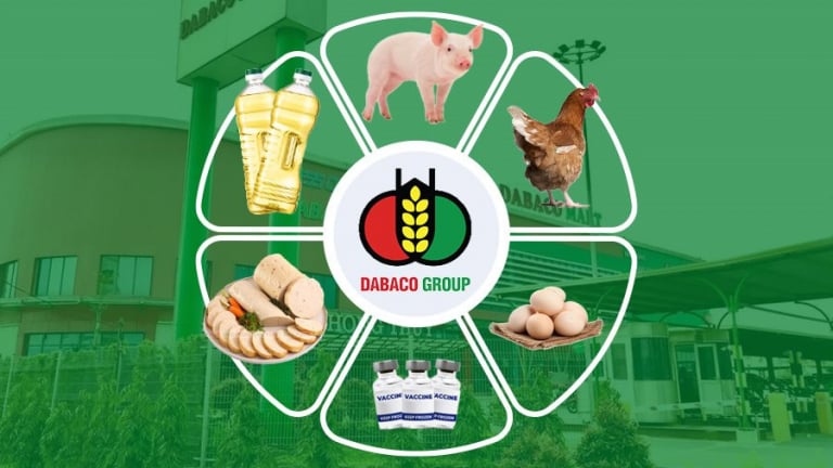 Dabaco phát hành cổ phiếu trả cổ tức 2024, tăng vốn điều lệ gần 4.000 tỷ đồng