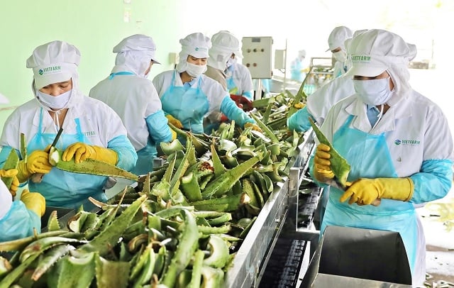 M&A: Nguyên liệu Á Châu hoàn tất thương vụ mua hơn 7 triệu cổ phiếu GC Food