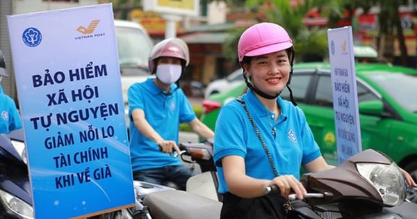Bảo hiểm xã hội TP HCM đề xuất hỗ trợ người từ 45-60 tuổi tham gia BHXH tự nguyện thêm 20%