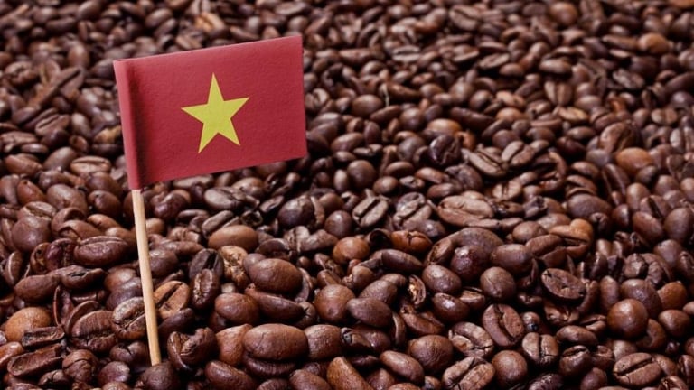 Xuất khẩu cà phê dự báo kỷ lục mới
