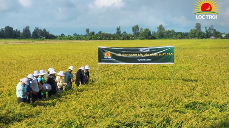Tập đoàn Lộc trời: Kế hoạch kinh doanh năm 2025 không được cổ đông thông qua, tiết lộ cắt giảm gần 1.100 nhân sự 