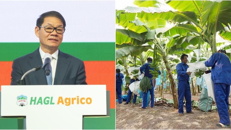 Công ty nông nghiệp của ông Trần Bá Dương và bầu Đức lỗ lũy kế, nợ ngắn hạn vượt tài sản, kiểm toán nghi ngờ khả năng hoạt động liên tục