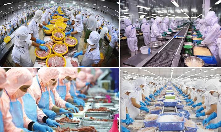 Xuất khẩu thủy sản đạt 5,8 tỷ USD trong 6 tháng đầu năm 2026 trước áp lực chi phí, thị trường và logistics