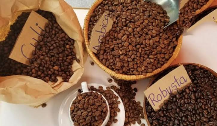 Giá cà phê tăng hơn 1.200 đồng/kg, hồ tiêu duy trì ổn định