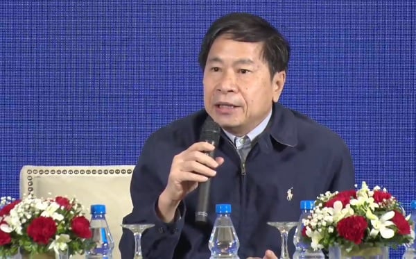 Chủ tịch Hội nuôi ong Việt Nam: Không thể xuất khẩu sang Hoa Kỳ vì mức thuế 'huỷ diệt'