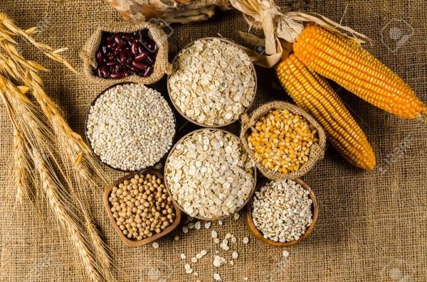 Lo ngại về mùa vụ hỗ trợ giá ngô và lúa mì tăng mạnh