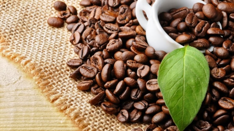 Giá cà phê Robusta lao dốc trước triển vọng nguồn cung dồi dào