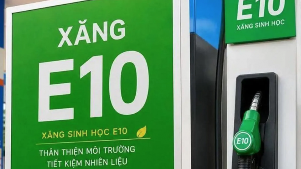 Xây chuỗi liên kết sắn - Ethanol: Lối mở cho xăng sinh học E10 tại Việt Nam