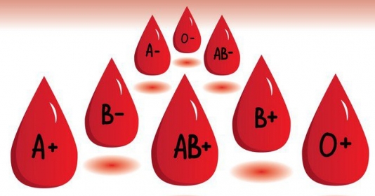 Sự thật thú vị về các hệ nhóm máu của loài người, đặc điểm, phân loại nhóm máu ra sao?