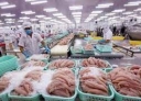 Mỹ, Trung Quốc đột ngột tăng mua, giá một loài cá của Việt Nam cao nhất trong 3 năm