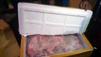 Bắt giữ xe khách chở hơn 600kg thịt bốc mùi hôi thối ở Hà Tĩnh