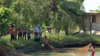Nuôi cá bông lau đặc sản ham bơi lội ở sông lớn, ông nông dân Trà Vinh kéo mẻ lưới nhiều người xem