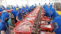 Trung Quốc đột nhiên tăng tốc thu mua, giá bán một loài cá của Việt Nam tăng tới 74%