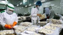 Thanh Hóa, Bến Tre, Nam Định đứng top đầu về bán một loài thủy sản sang Mỹ, Hàn Quốc, EU