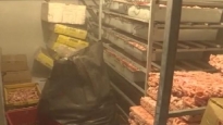 Hải Phòng: Bắt quả tang 24 tấn nội tạng lợn nhiễm dịch tả lợn châu Phi sắp ra thị trường