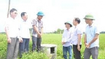 Nông dân Hà Nam trồng lúa thân thiện môi trường, năng suất lúa tăng 10%