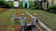 Viettel gửi tin nhắn cảnh báo đến 2,5 triệu khách hàng, đảm bảo thông tin liên lạc cho người dân trong bão Wipha
