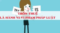 Trốn thuế hàng trăm triệu đồng từ nguồn thu quảng cáo Youtube