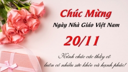 Lời chúc hay và ý nghĩa Ngày Nhà giáo Việt Nam 20/11